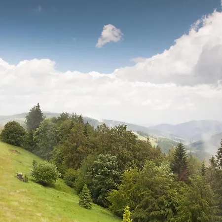 Swoboda Na Szczycie Góry Alojamento de Acomodação e Pequeno-almoço Brenna