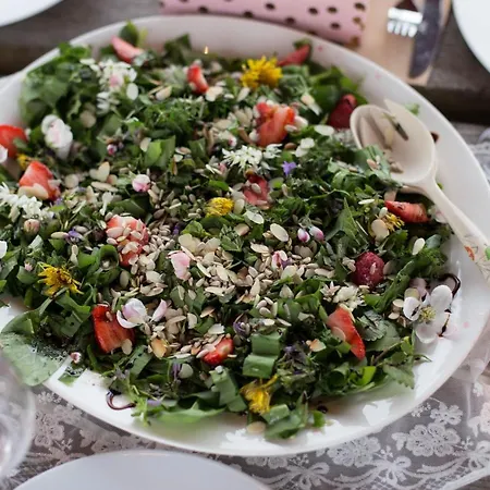 Swoboda Na Szczycie Góry 3* Brenna