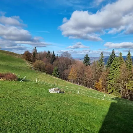 Swoboda Na Szczycie Gory Z Dala Od Miasta Bed & Breakfast 3*