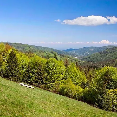 Panzió Swoboda Na Szczycie Gory Z Dala Od Miasta 3*