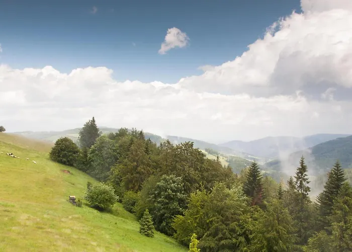 Swoboda Na Szczycie Gory Z Dala Od Miasta Bed & Breakfast Brenna