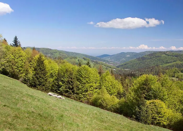 Swoboda Na Szczycie Gory Z Dala Od Miasta 3*