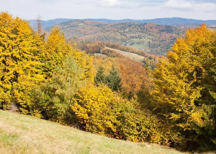 Swoboda Na Szczycie Gory W Zimie Dojazd Tylko 4x4