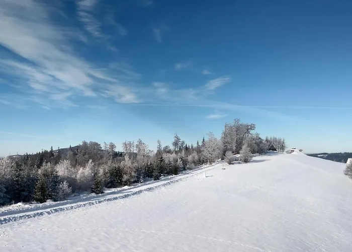 Bed & Breakfast Swoboda Na Szczycie Gory Z Dala Od Miasta Brenna