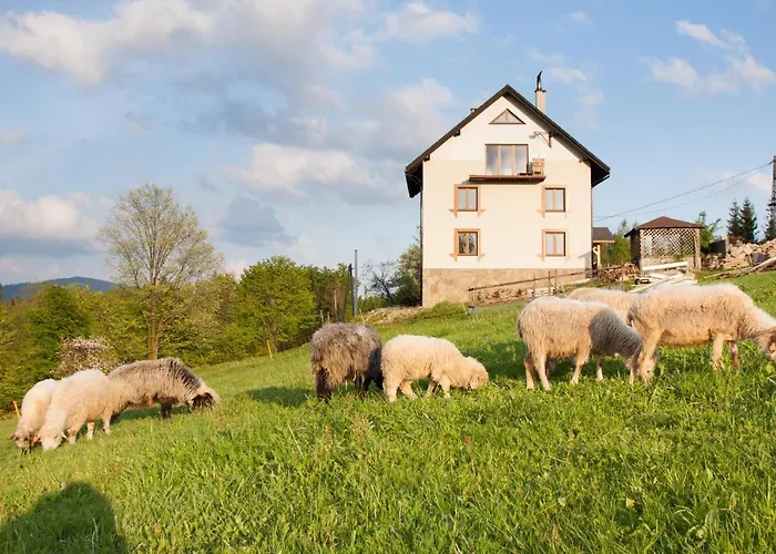 Swoboda Na Szczycie Gory W Zimie Dojazd Tylko 4x4 B&B