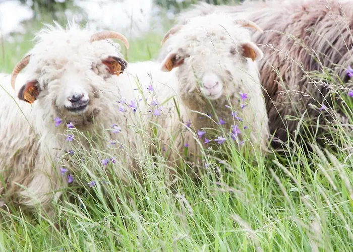 Swoboda Na Szczycie Gory Z Dala Od Miasta 3*