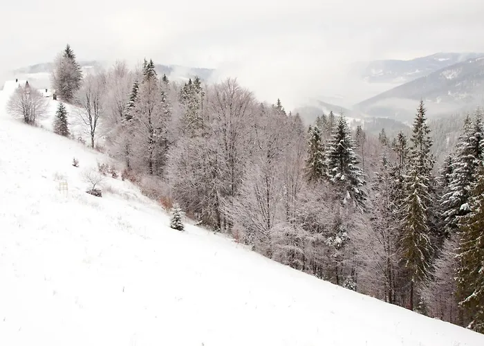 Swoboda Na Szczycie Gory Z Dala Od Miasta Brenna