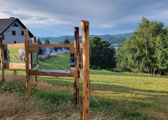 Swoboda Na Szczycie Gory W Zimie Dojazd Tylko 4x4