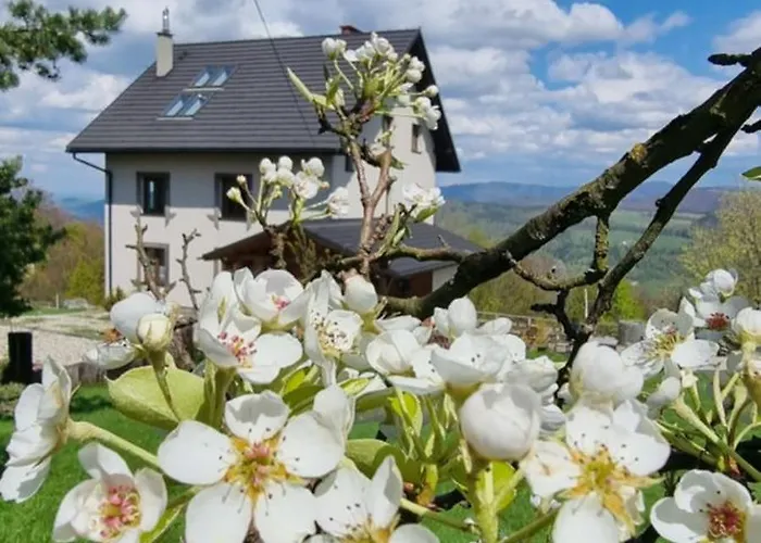 B&B Swoboda Na Szczycie Gory W Zimie Dojazd Tylko 4x4