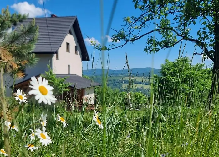 Swoboda Na Szczycie Gory W Zimie Dojazd Tylko 4x4 B&B 브렌나