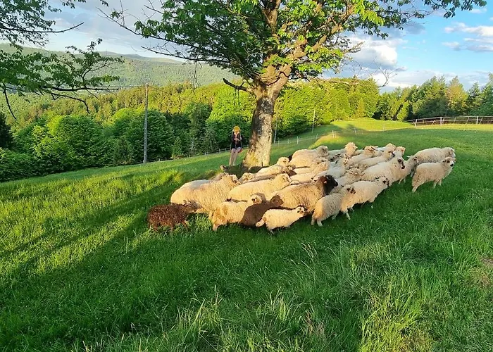 B&B Swoboda Na Szczycie Gory W Zimie Dojazd Tylko 4x4 브렌나